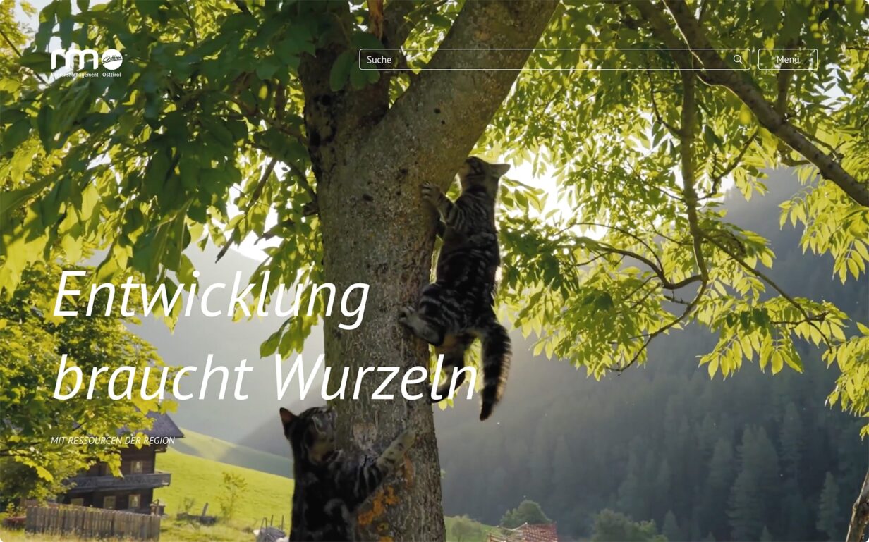 Regions­management Osttirol